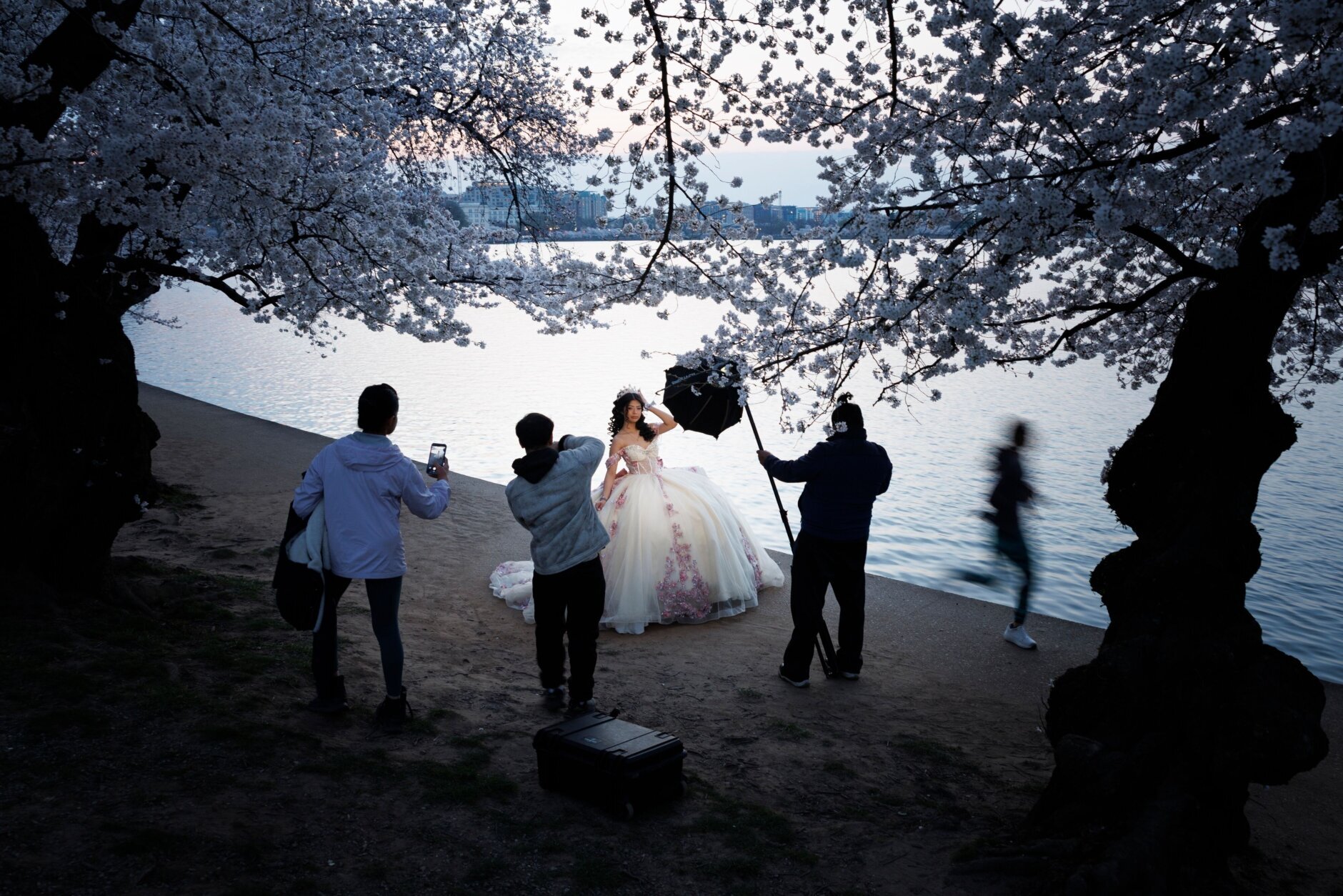 quinceañera photo among the cherry blossom trees along the tidal basin in DC