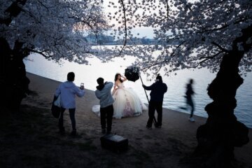 quinceañera photo among the cherry blossom trees along the tidal basin in DC