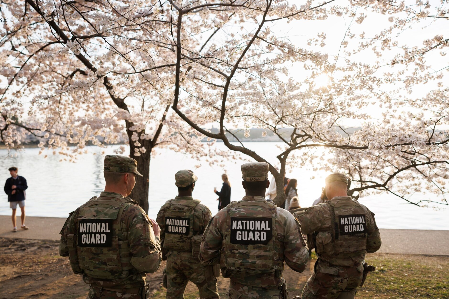 national guard members stand amongst cherry blossoms in DC's tidal basin
