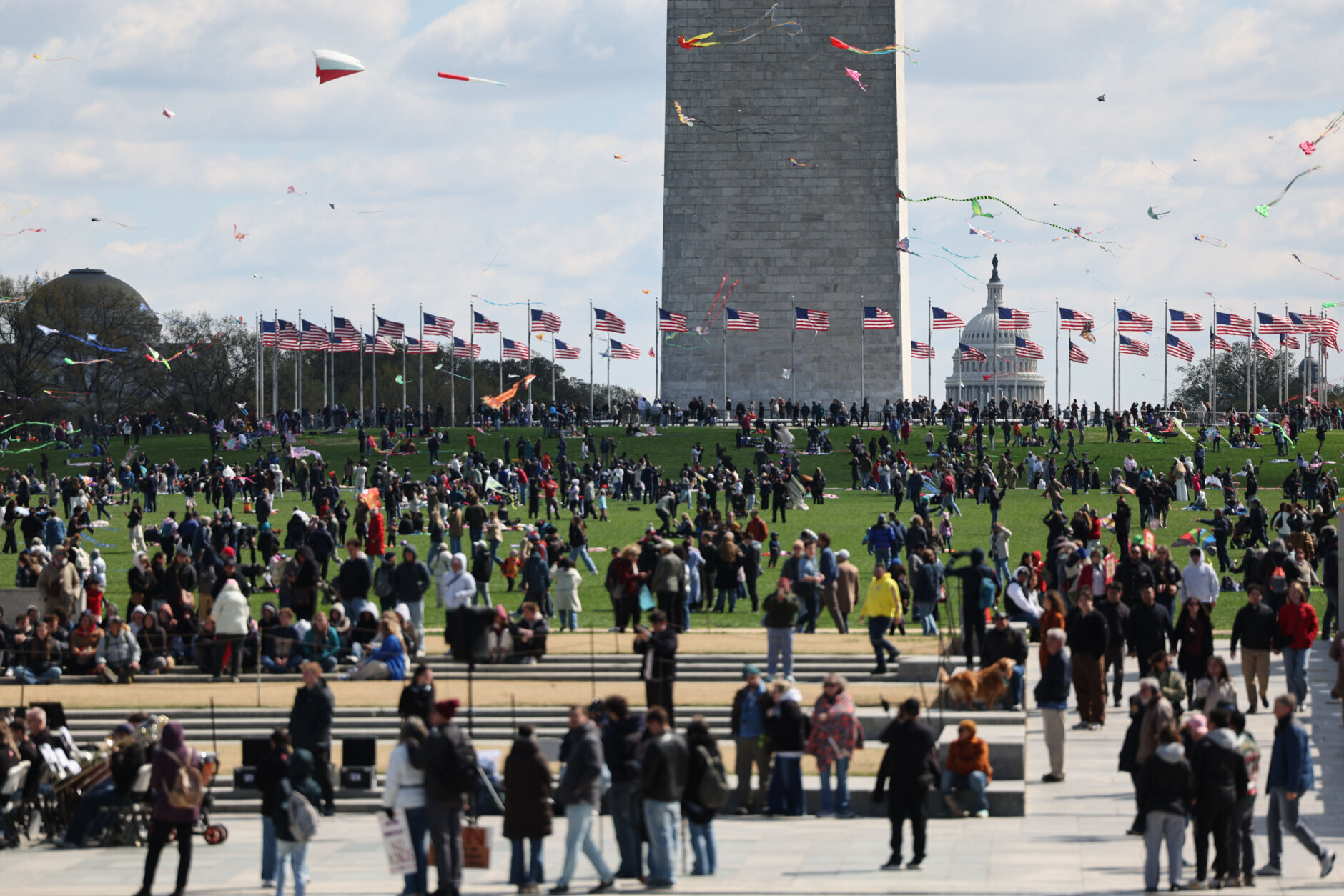 Demonstrators from the No Kings protest and Cherry Blossom Kite Festival attendees mix on the National Mall in Washington, Saturday, March 28, 2026. (AP Photo/Tom Brenner)
