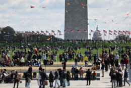 Demonstrators from the No Kings protest and Cherry Blossom Kite Festival attendees mix on the National Mall in Washington, Saturday, March 28, 2026. (AP Photo/Tom Brenner)