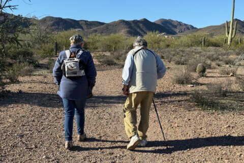 Accessible walks bring the joys of birding to people with mobility and other limitations
