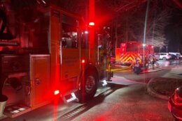 Firefighters in Woodbridge