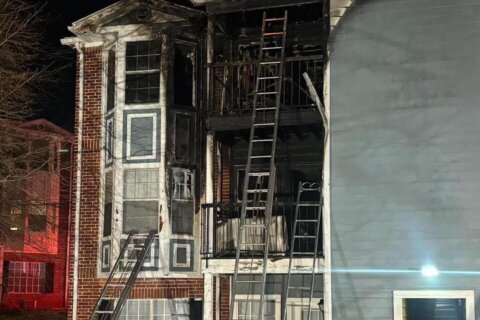 2 cats dead after fire at Woodbridge apartment building