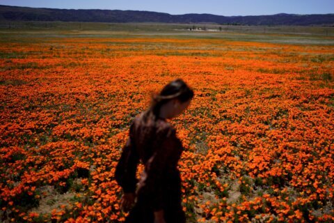 Welcome to allergy season. Here’s how to protect yourself