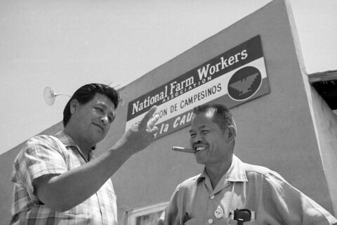 Chavez abuse claims prompt reflection on the history of Filipino farmworkers in the US
