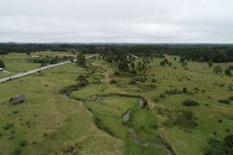 New study challenges a site that’s key to how humans got to the Americas