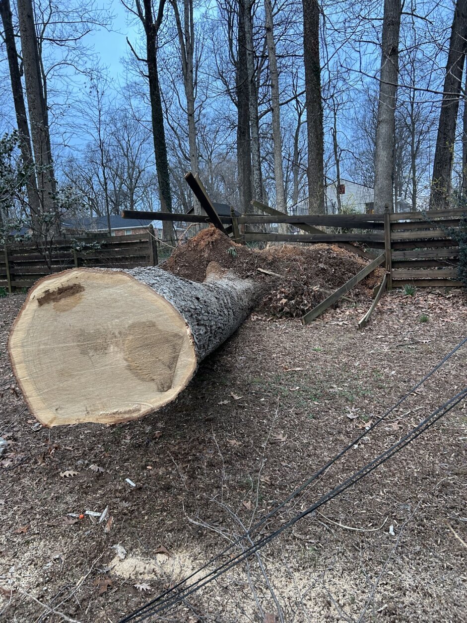 At Eric Larsen’s home in Derwood, Maryland, crews were cutting and hauling away a large white oak that fell during the storm on March 16, 2026.