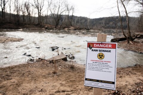 A Virginia boater is suing a Washington utility for  the Potomac River sewage spill