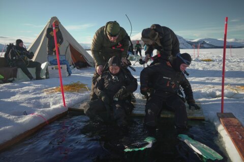 Scientists train to dive beneath polar ice as climate change warms the Arctic and Antarctica