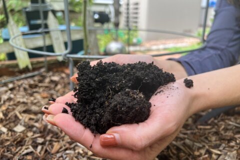 Soil is the foundation of your garden. Keep it healthy!