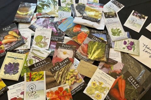 A glossary to help cut through seed-packet jargon and confidently plant indoors