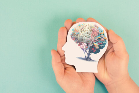 America 250: Years of changing perceptions on mental health and how to treat it