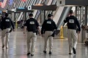 No reports of ICE at DC-area airports on Day 1 of Trump plan to aid TSA during partial shutdown