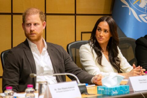 Prince Harry and Meghan slam author of new book on royals for ‘deranged conspiracy’