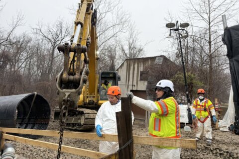 Cleanup begins along the C&O Canal after sewage spill, but rain slows early work