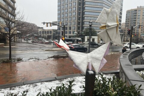 Skies clear after slushy snowfall breaks DC’s warm streak