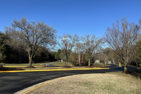 Environmental groups raise concerns about possible Fairfax Co. land sale to data center developer