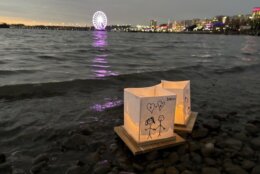 lit paper lanterns on the water
