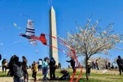 Blossom Kite Festival takes flight during cherry blossom peak bloom