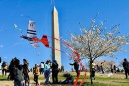 A kite flies on the National Mall