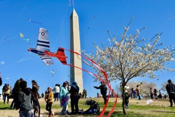 A kite flies on the National Mall