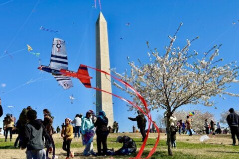 Blossom Kite Festival takes flight during cherry blossom peak bloom