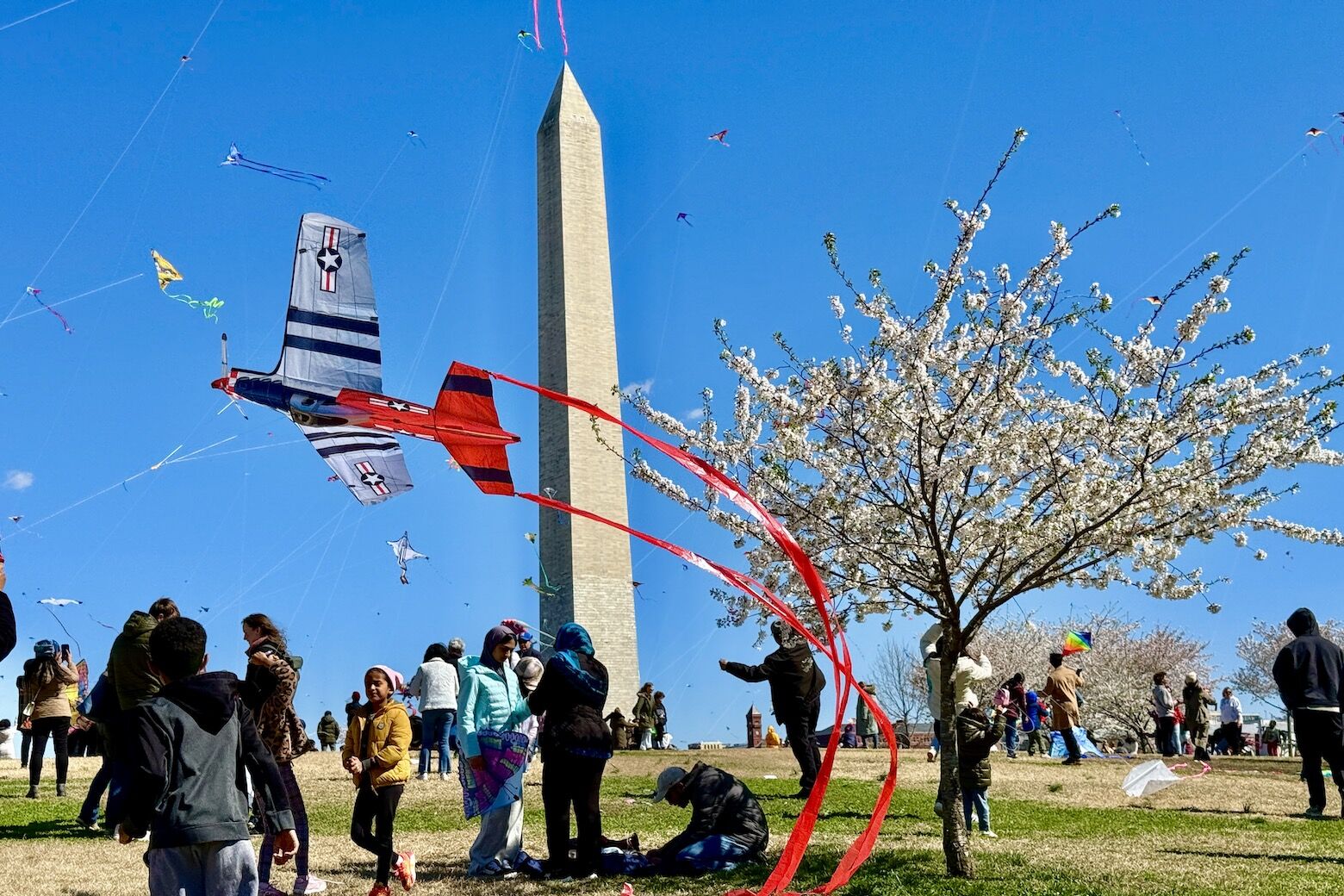 A kite flies on the National Mall