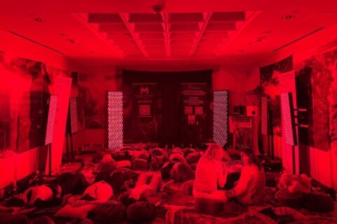 Starseeds, government plots and an alien mantis: Inside New Age spirituality’s new age