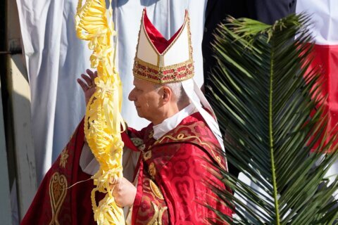 Pope Leo XIV opens Holy Week with Palm Sunday that recalls final days of Pope Francis’ life