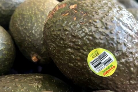 ¿Sabías que la producción de aguacate en México pone en riesgo al medio ambiente?