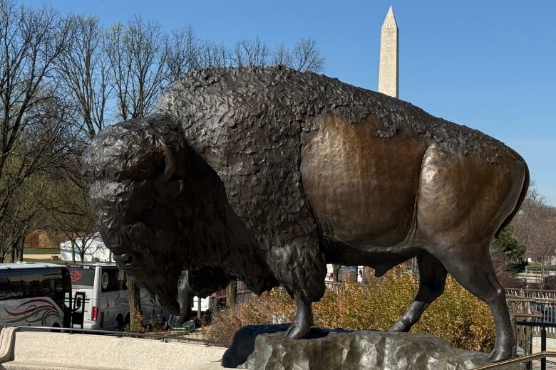 bison statue
