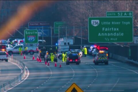 Hombre apuñala a 4 personas y a un perro en la I-495; muere a tiros por la policía