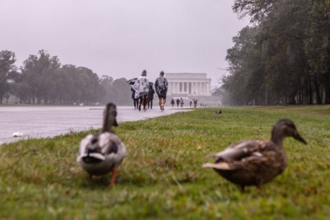 Cancelan vigilancia de tornado para DC y partes de Maryland y Virginia