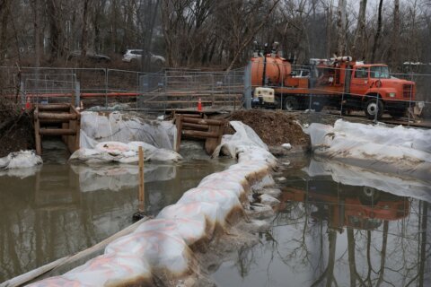 Derrame en el Potomac desata demanda colectiva contra DC Water