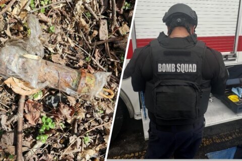 Hallan presuntas bombas caseras en el parque Fort Washington, en Maryland