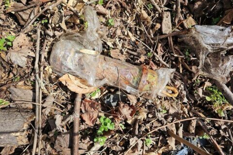 9 suspected pipe bombs recovered from Prince George’s Co. park