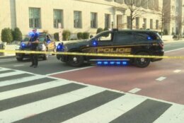 police cruisers crash scene