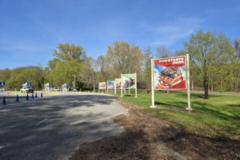 amusement park signs on green grass