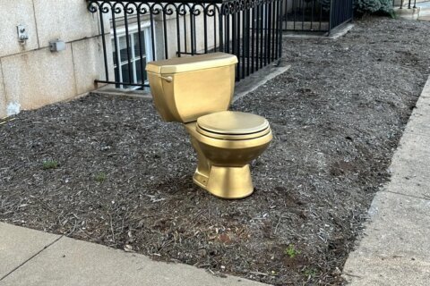 Did you leave your golden toilet on the Culpeper Co. administration building’s lawn?