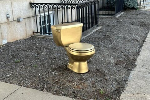 Did you leave your golden toilet on the Culpeper Co. administration building’s lawn?