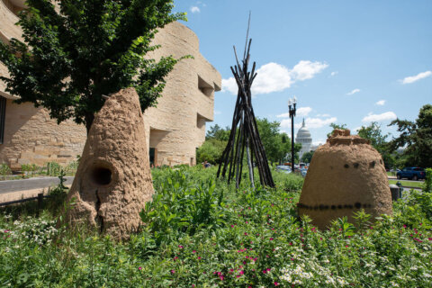 Nora Naranjo Morse's 'Always Becoming' sculpture