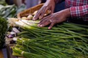 Cyclospora concerns draw more customers to DC region's farmers and farmers markets
