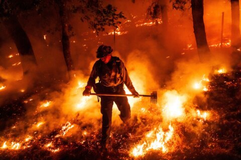 Wildfires used to ‘go to sleep’ at night. Climate change has them burning overtime