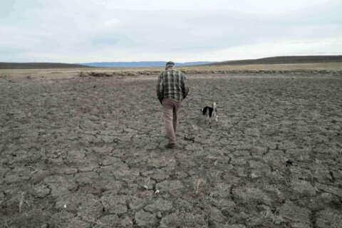 Record US drought sparks worries about fires, water supply and food prices