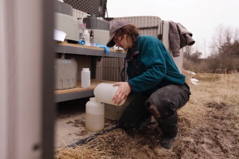 Warming winters lead to more nitrate pollution in the drinking water near farms