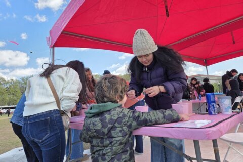 They are college students and young professionals that are there to help everyone understand the significance of the Cherry Blossoms and why they are so celebrated.