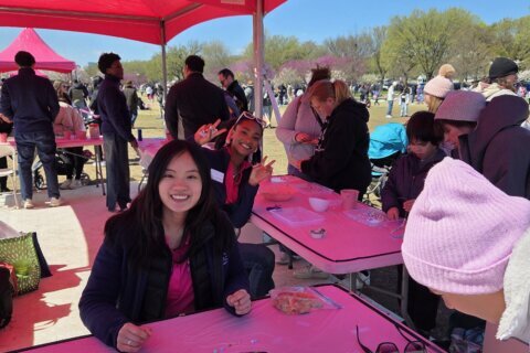 Goodwill ambassadors hope to connect visitors to Japanese culture at Cherry Blossom Festival