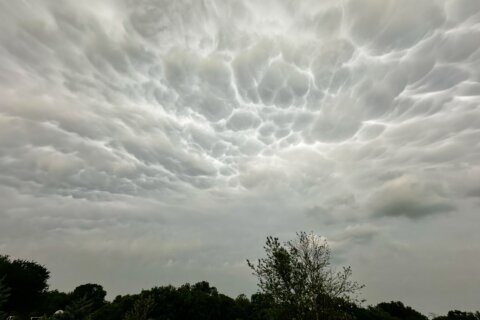 You’re probably paying more for insurance lately. A new study suggests federal action to cut costs