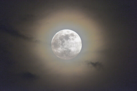 bright moon surrounded by clouds